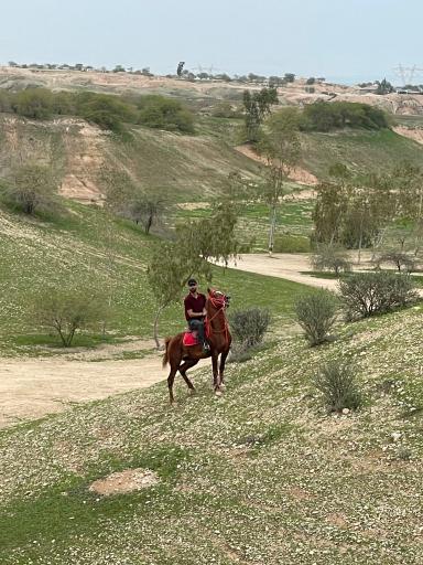 عکس باشگاه سوارکاری ایلیا