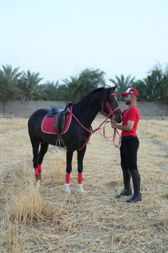 عکس باشگاه سوارکاری ایلیا