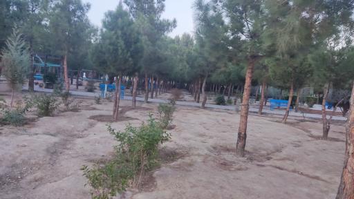 عکس پارک نسترن