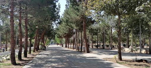 عکس پارک نسترن