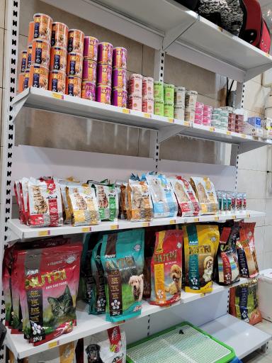 عکس پت شاپ پیچا