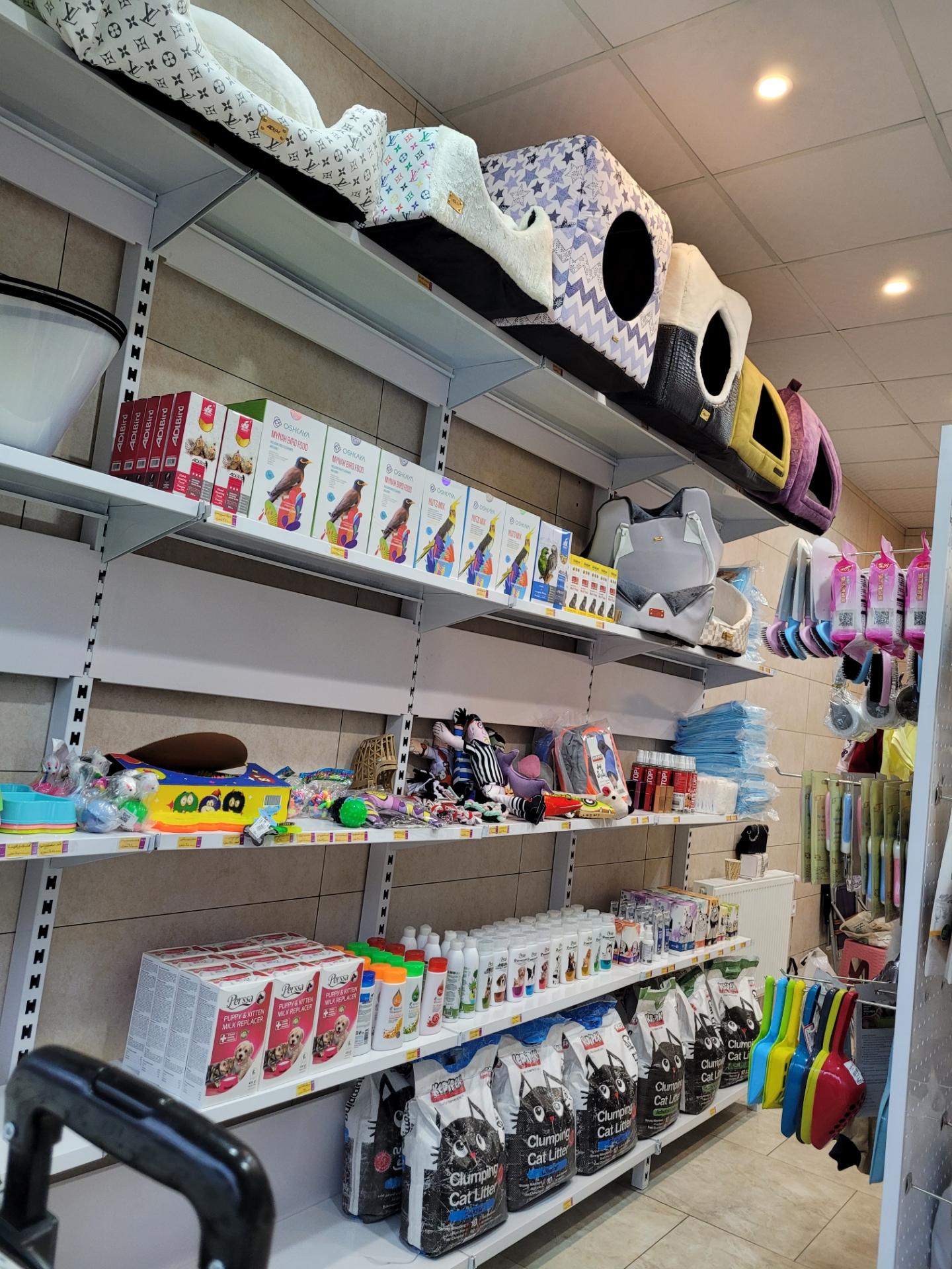 عکس پت شاپ پیچا