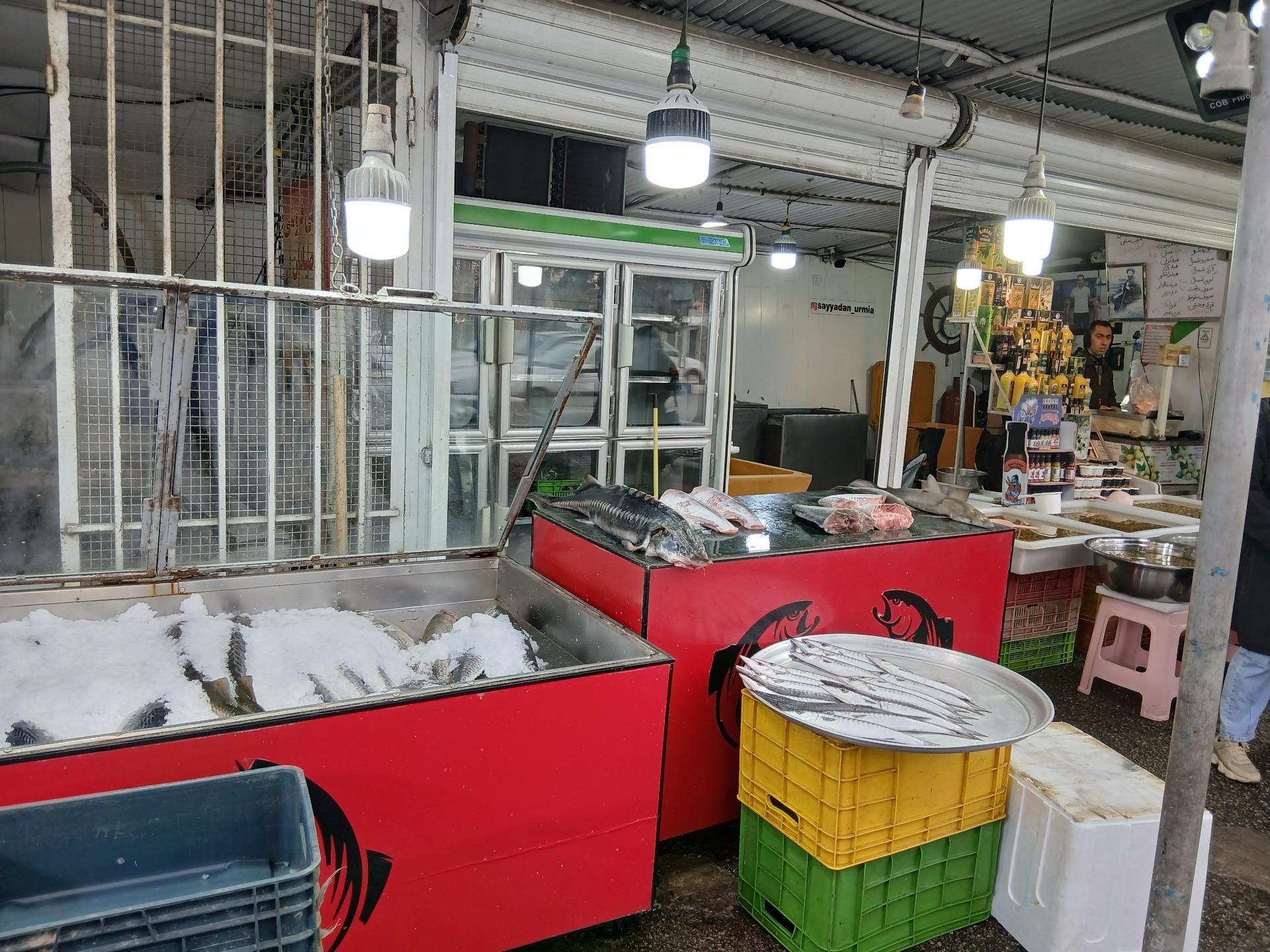 عکس ماهی فروشی