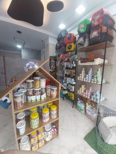 عکس پت شاپ لئو