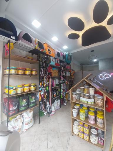 عکس پت شاپ لئو