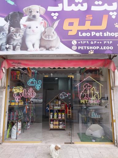 عکس پت شاپ لئو