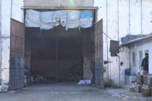 عکس تولیدی هاشمی