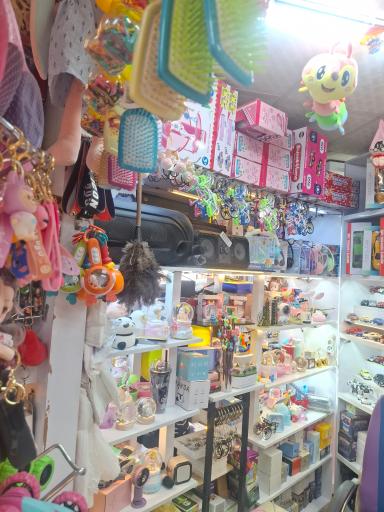 عکس اسباب بازی فروهش 