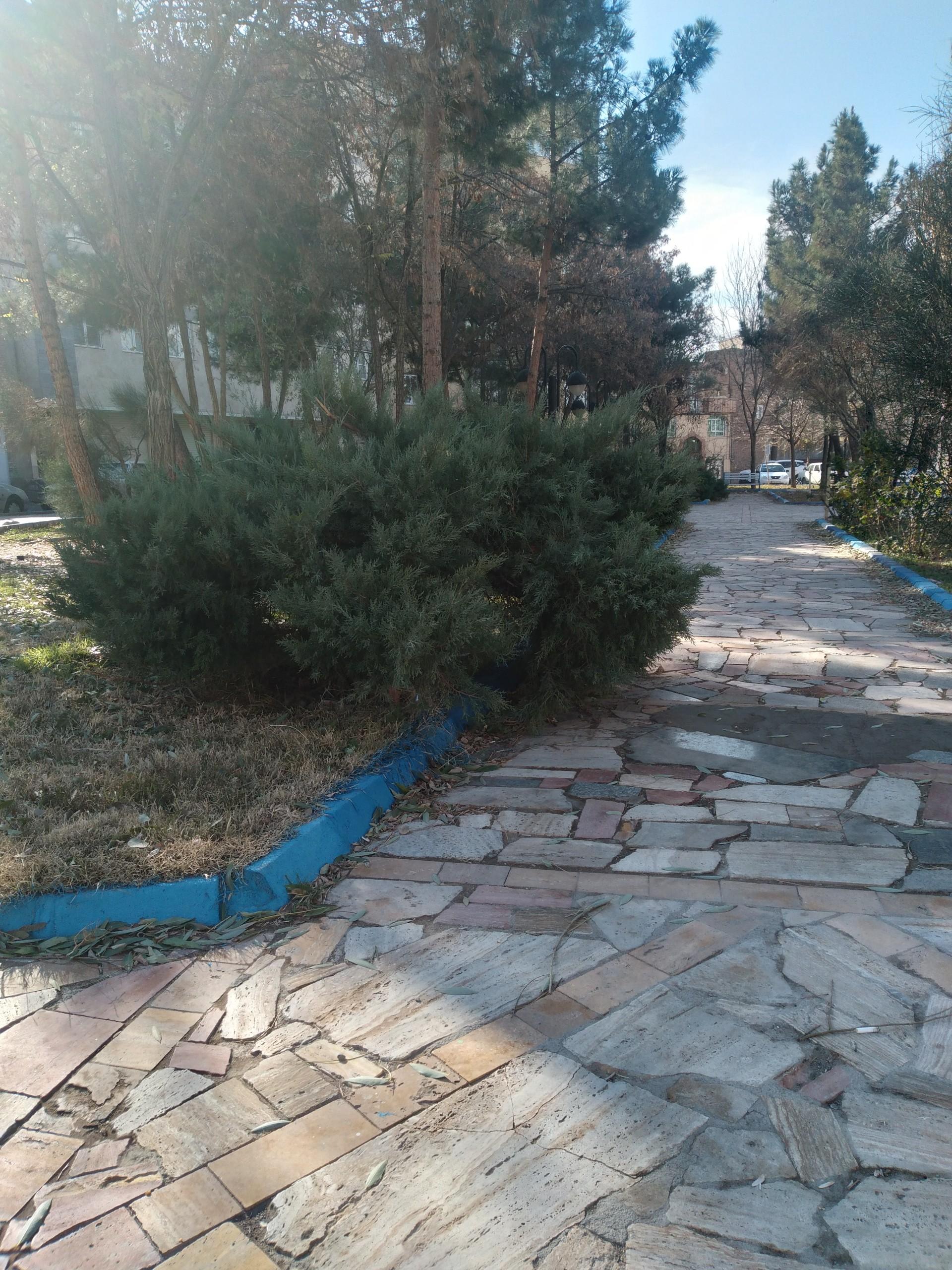 عکس بوستان خوئی 
