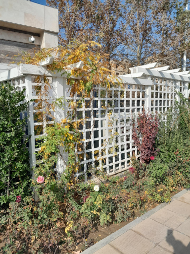 عکس باغ تالار گلوریا