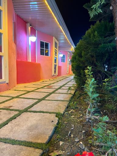 عکس رستوران ماهی و پرورش ماهی سرزمین ماهی ساری