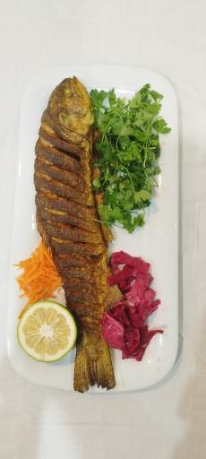 عکس رستوران ماهی و پرورش ماهی سرزمین ماهی ساری