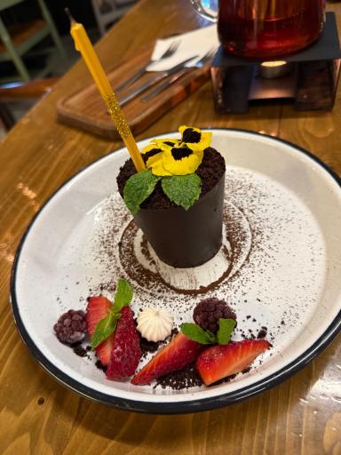 عکس فست فود راینو