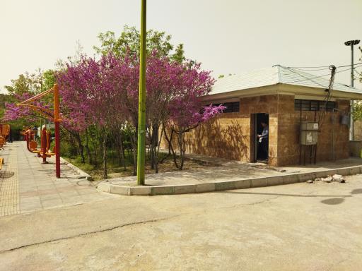 عکس سرویس بهداشتی