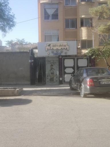 عکس پیرایش دایان