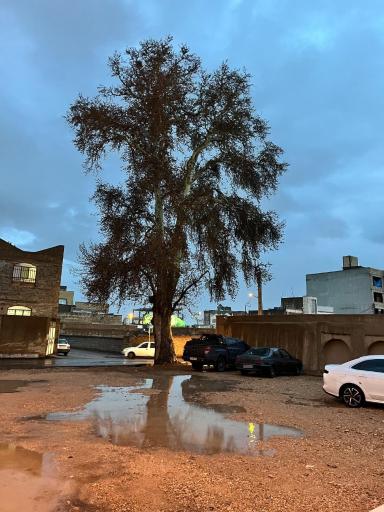 عکس اقامتگاه سنتی عمارت امینی