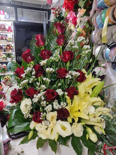 عکس گلکده میخک 