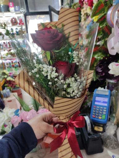 عکس گلکده میخک 