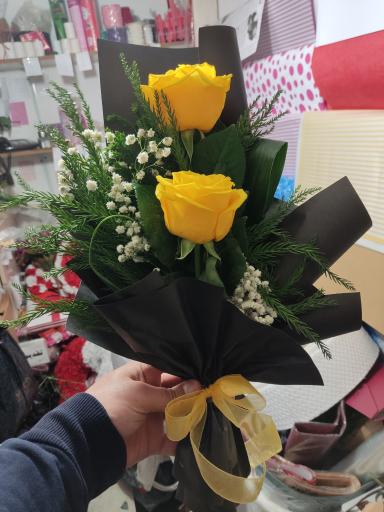 عکس گلکده میخک 