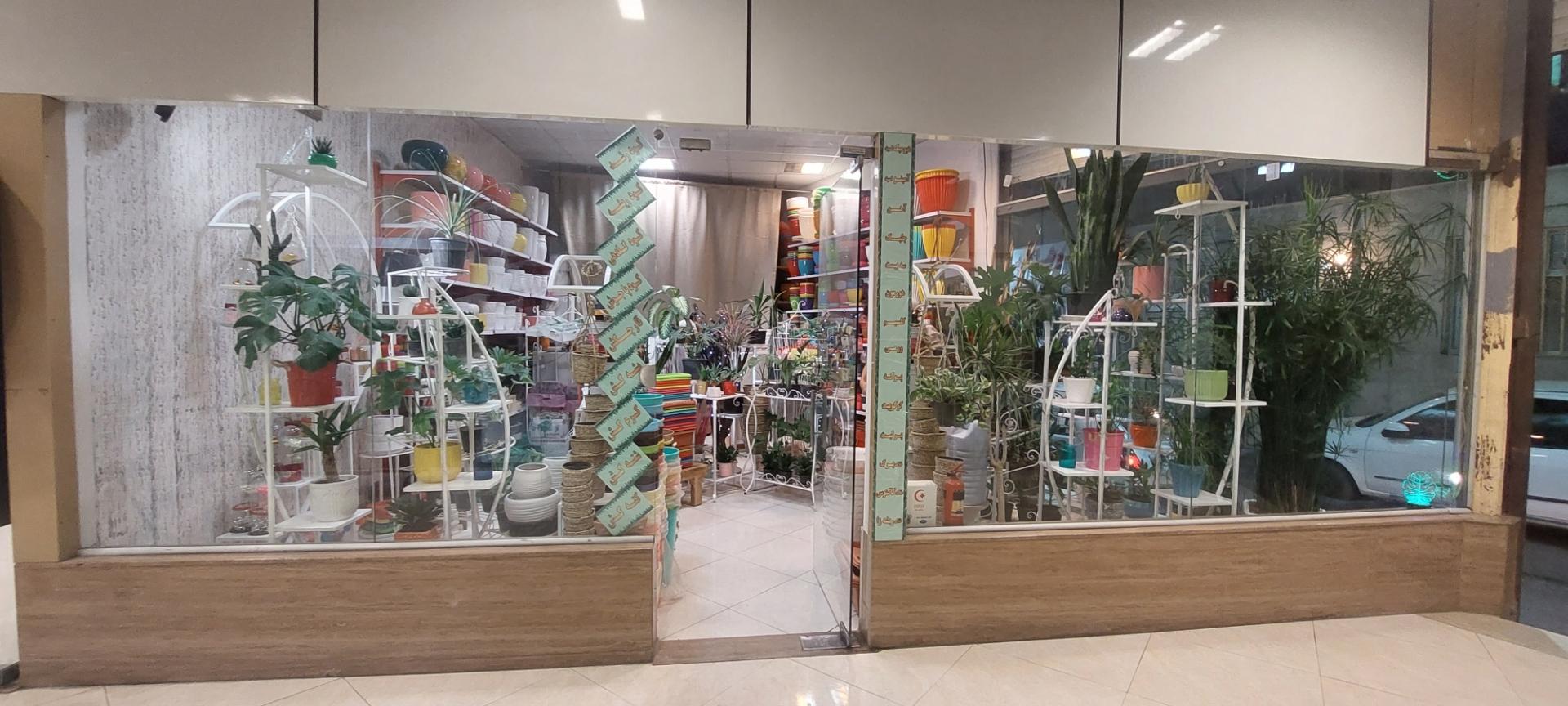 عکس هایپر گل 