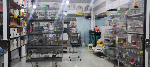 عکس پرنده سرای سیستان