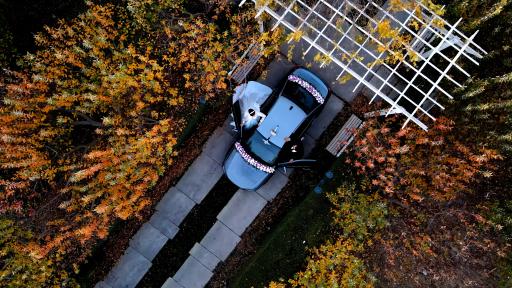 عکس باغ رستوران نارسیس