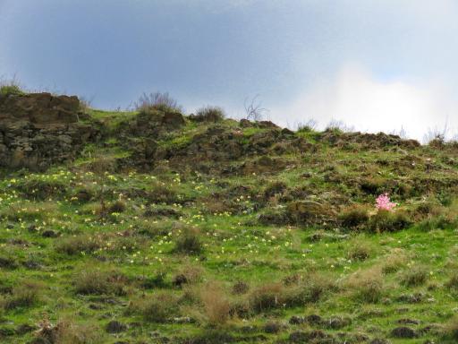 عکس قله ماندگار