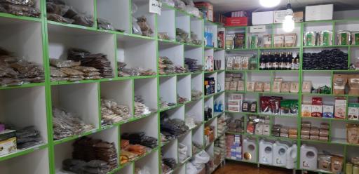 عکس ارمغان سلامت