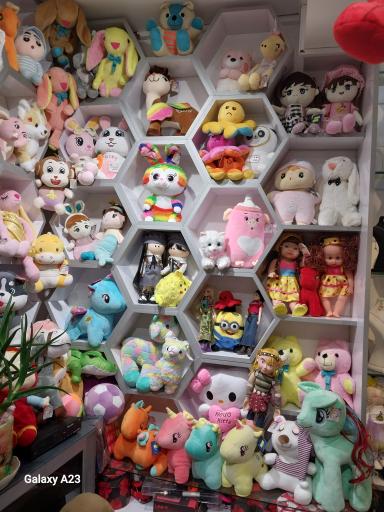 عکس اسباب بازی وزیورالات روژیا