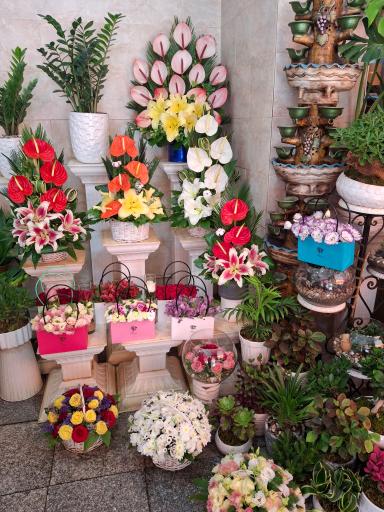 گل فروشی تینا