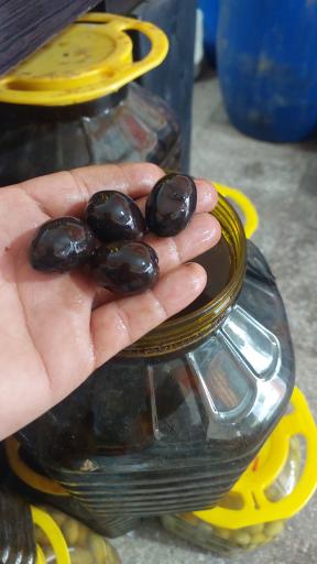 عکس مرکز پخش زیتون 