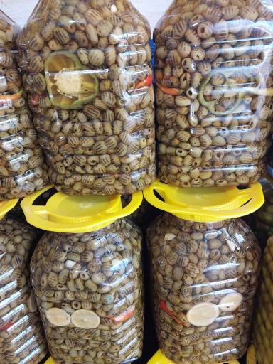 عکس مرکز پخش زیتون 