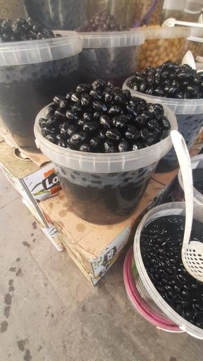 مرکز پخش زیتون 