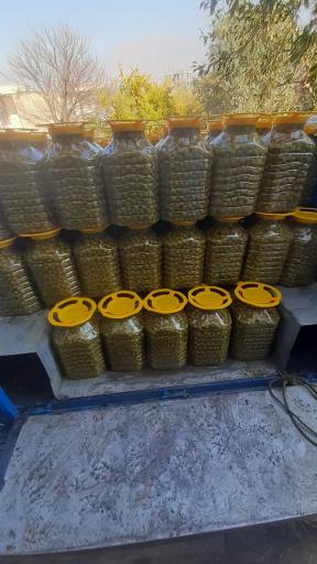 عکس مرکز پخش زیتون 