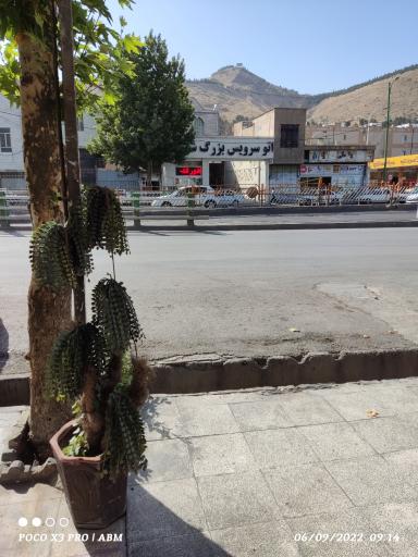 عکس اتوسرویس بزرگ شهر