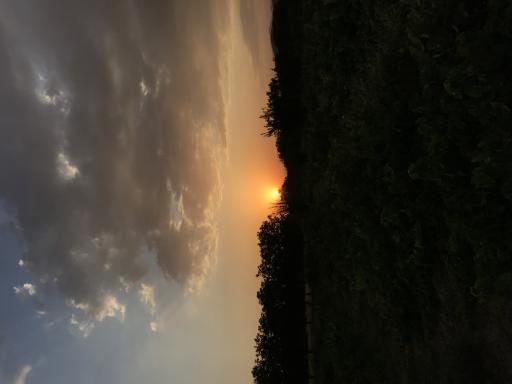 عکس کسب