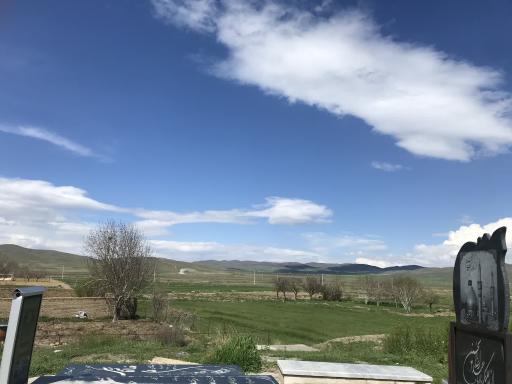 عکس کسب