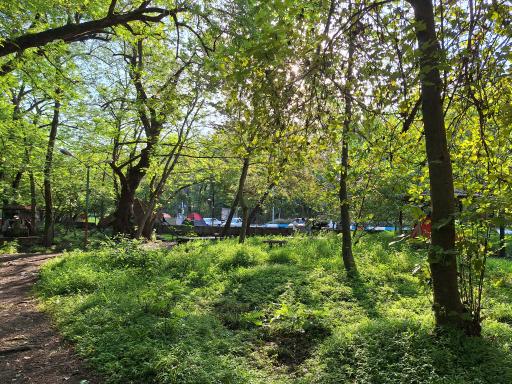 عکس پارک شهدای گمنام(ارم)