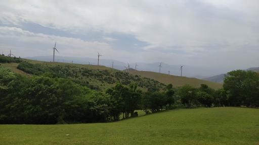 عکس اقامتگاه بومگردی تک درخت