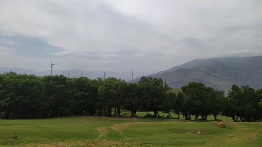 عکس اقامتگاه بومگردی تک درخت