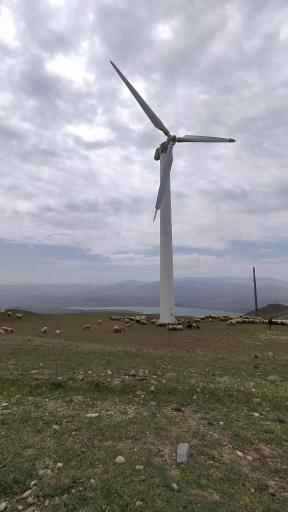 عکس اقامتگاه بومگردی تک درخت