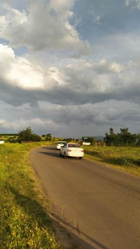 عکس اقامتگاه بومگردی تک درخت