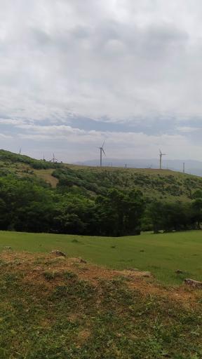 عکس اقامتگاه بومگردی تک درخت