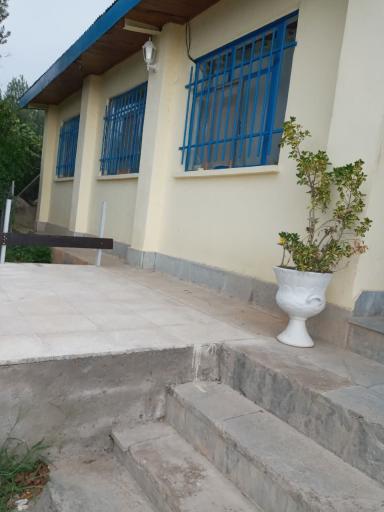 عکس اقامتگاه بومگردی تک درخت