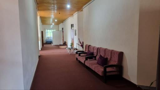 عکس اقامتگاه بومگردی تک درخت