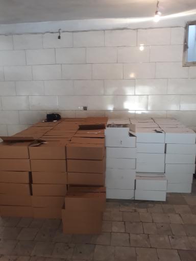 عکس ایران کشمش 