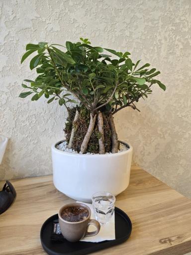 عکس کافه آن  (Cafe ON)