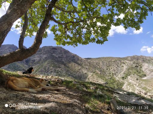 عکس قلعه سکه سان (سکسو)