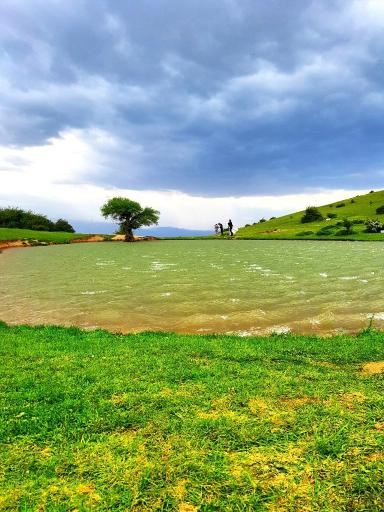 عکس اقامتگاه بومگردی تک درخت