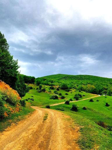 عکس اقامتگاه بومگردی تک درخت